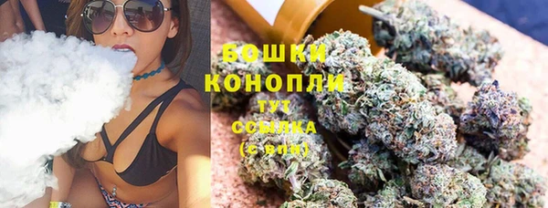 кокс Богородицк