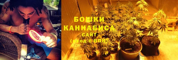 мет Богданович